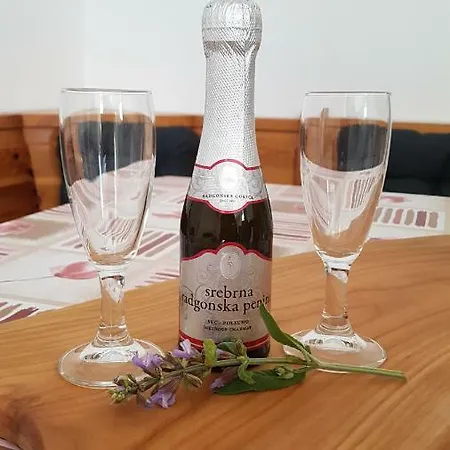 Guest house And Parus Manzan